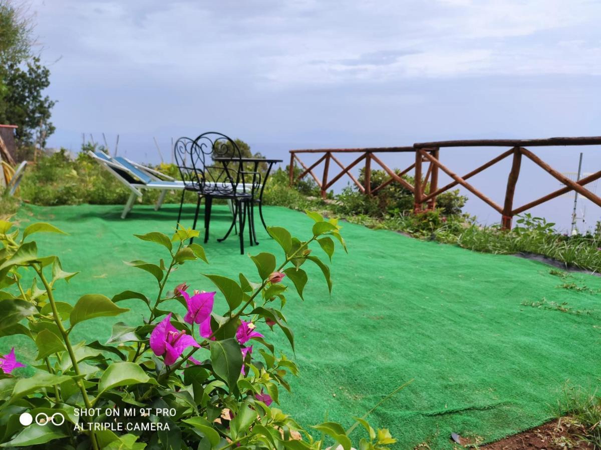 Il Piccolo Sogno In Costiera Amalfitana Villa Conca dei Marini Eksteriør billede