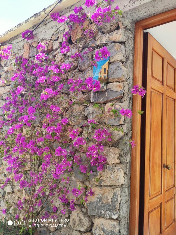 Il Piccolo Sogno In Costiera Amalfitana Villa Conca dei Marini Eksteriør billede