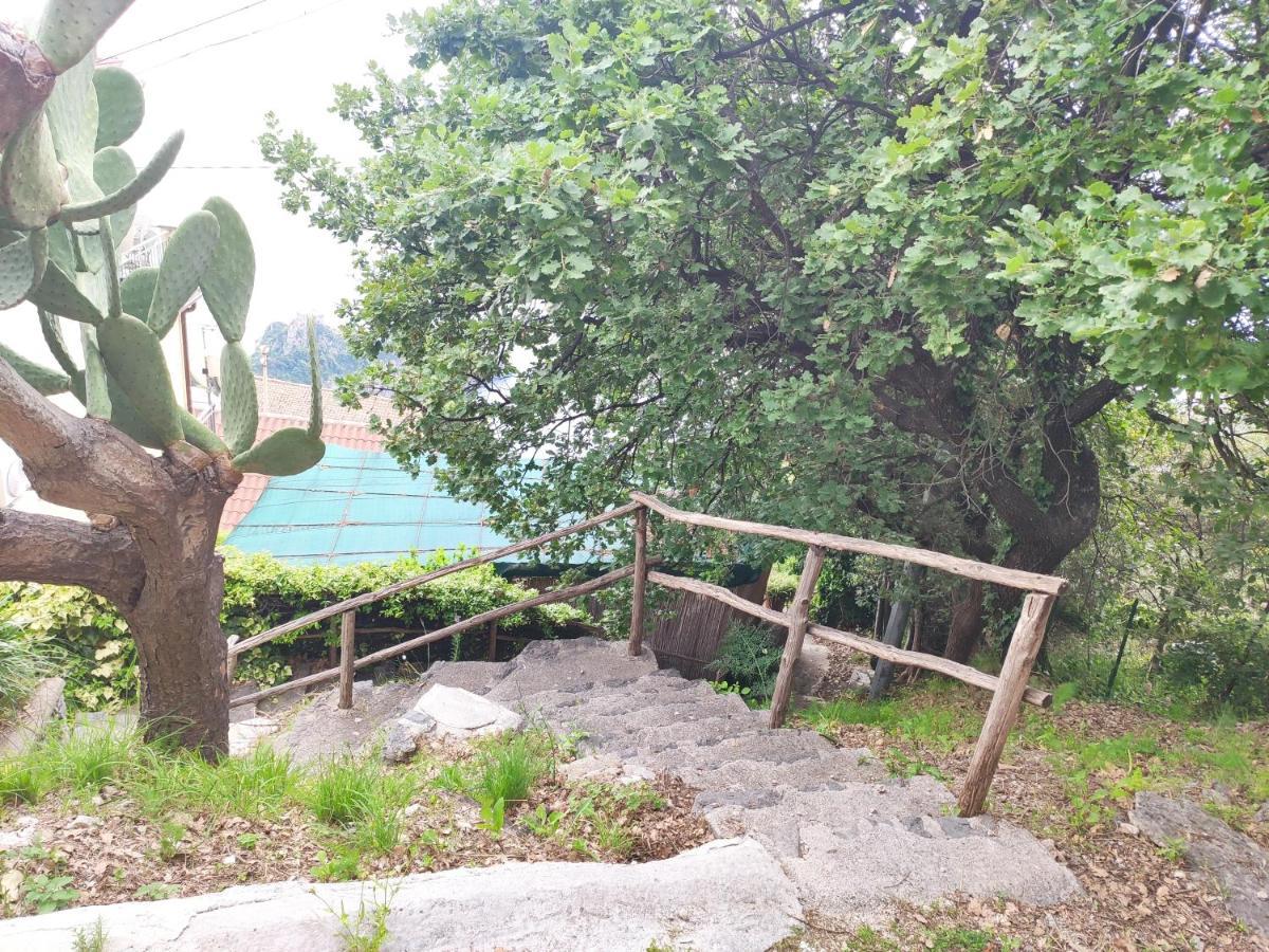 Il Piccolo Sogno In Costiera Amalfitana Villa Conca dei Marini Eksteriør billede